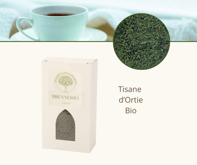 Tisane d'ortie 